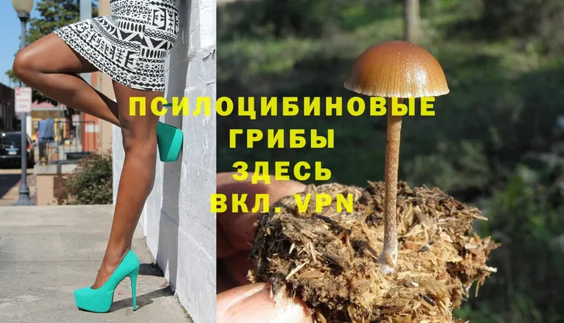 Псилоцибиновые грибы Magic Shrooms  Инсар 